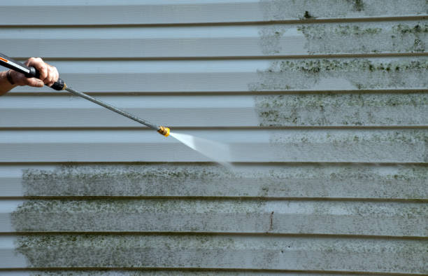 Animal Enclosure Cleaning in Hanahan, SC